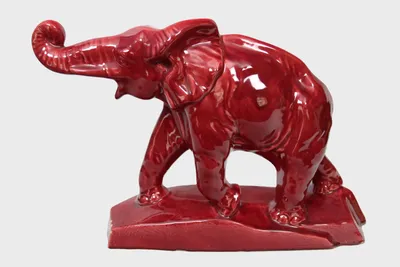 Afrikaanse olifant
