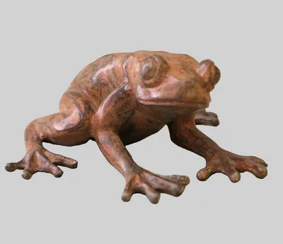 Bronzen kikker