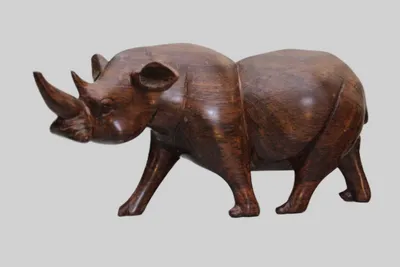 Neushoorn (2)