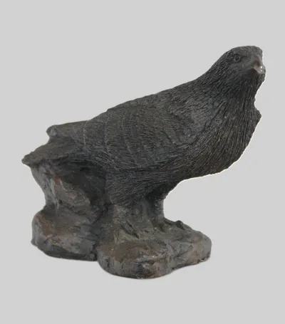 Roofvogel (2)