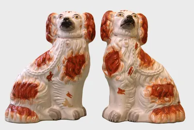 Staffordshire honden
