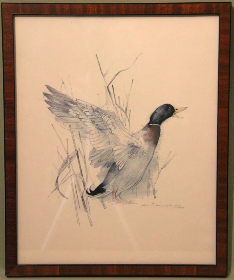 Tekening van eend, ingekleurd - Diversen › Schilderijen en prenten - €60.00 - Periode omstreeks 1930-1940
30 x 36.5cm