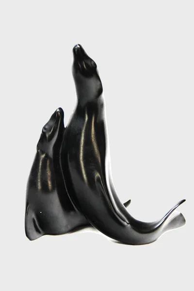 Zeehonden